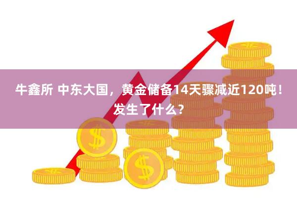 牛鑫所 中东大国，黄金储备14天骤减近120吨！发生了什么？