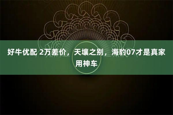 好牛优配 2万差价，天壤之别，海豹07才是真家用神车